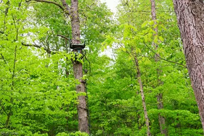 Morganville Rd Road, Corning, OH 43730 - Photo 14