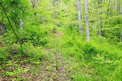 Morganville Rd Road, Corning, OH 43730 - Photo 18