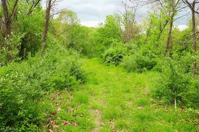Morganville Rd Road, Corning, OH 43730 - Photo 12