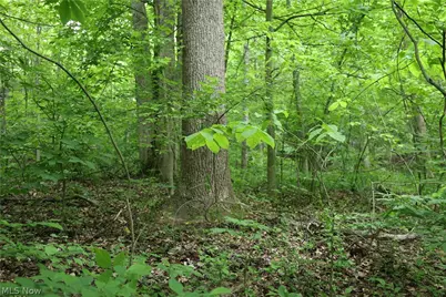 61342 High Hill Road, Cambridge, OH 43725 - Photo 24