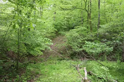 61342 High Hill Road, Cambridge, OH 43725 - Photo 26