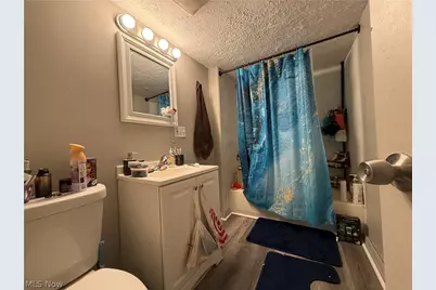 4217 Hyde Avenue, Loveland, OH 44109 - Photo 6