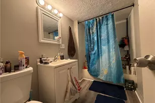 4217 Hyde Ave, Loveland, OH 44109 - Photo 6