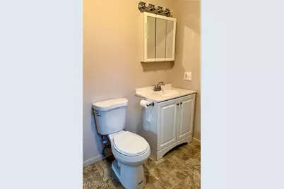 374 Pearl Street, Leetonia, OH 44431 - Photo 30