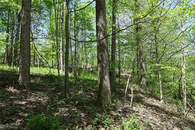 County Road 33, Warsaw, OH 43844 - Photo 4
