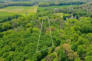 5305 Beechwood Rd, Ravenna, OH 44266 - Photo 46