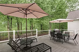 16820 Staffordshire Ct, Chagrin Falls, OH 44023 - Photo 44