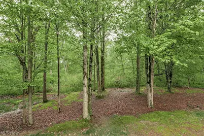 16820 Staffordshire Court, Chagrin Falls, OH 44023 - Photo 46