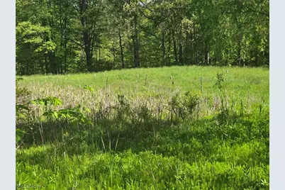 Hill Lane, McConnelsville, OH 43756 - Photo 16