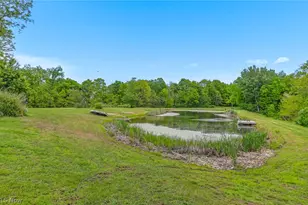 36735 State Route 78, Lewisville, OH 43754 - Photo 10