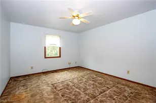 255 Wolf Ave, Wadsworth, OH 44281 - Photo 24