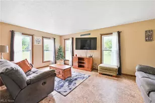 11690 Island Rd, Grafton, OH 44044 - Photo 4