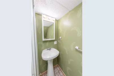 3878 W 133rd Street, Loveland, OH 44111 - Photo 38