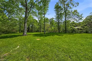 16251 River St NE, Alliance, OH 44601 - Photo 40