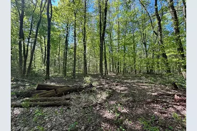 6060 Dalton Fox Lake Road, North Lawrence, OH 44666 - Photo 38