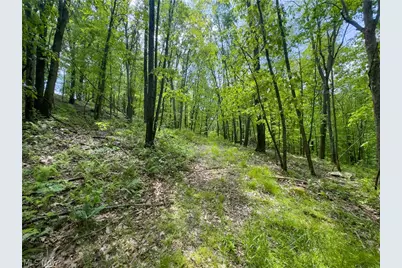 2250 Indian Camp Run Road, New Concord, OH 43762 - Photo 44
