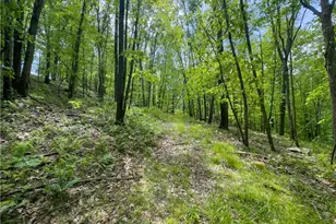 2250 Indian Camp Run Rd, New Concord, OH 43762 - Photo 44