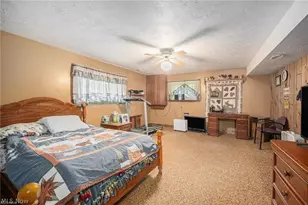 7032 Reed Rd, Conneaut, OH 44030 - Photo 18