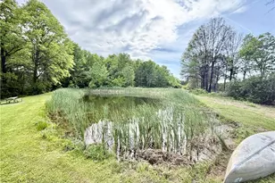 1773 Mahoning Rd, Deerfield, OH 44411 - Photo 18