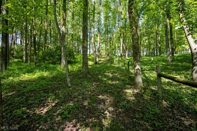 16062 State Route 39, Loudonville, OH 44842 - Photo 32