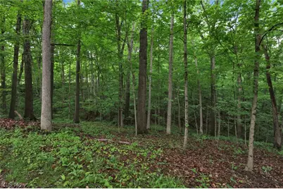 60467 Apache Lane, Senecaville, OH 43780 - Photo 46