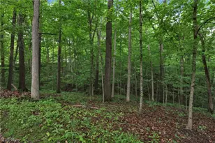 60467 Apache Ln, Senecaville, OH 43780 - Photo 46