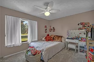 4102 Manchester Rd, Perry, OH 44081 - Photo 34