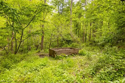 26103 Township Road 250, Newcomerstown, OH 43832 - Photo 48