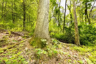 26103 Township Road 250, Newcomerstown, OH 43832 - Photo 50