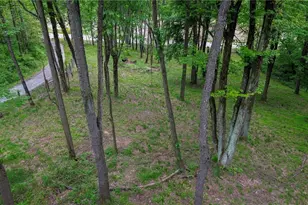 5309 Cherry Run Rd Rd, Strasburg, OH 44680 - Photo 20