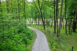 5309 Cherry Run Rd Rd, Strasburg, OH 44680 - Photo 22