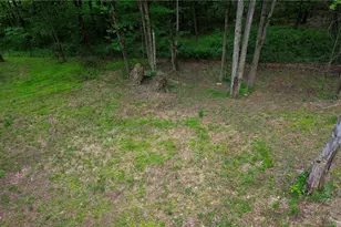 5309 Cherry Run Rd Rd, Strasburg, OH 44680 - Photo 18