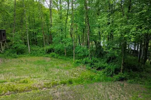 5309 Cherry Run Rd Rd, Strasburg, OH 44680 - Photo 12