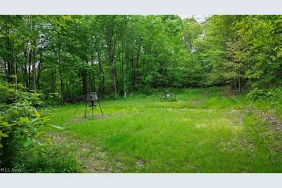 5309 Cherry Run Rd Road, Strasburg, OH 44680 - Photo 16
