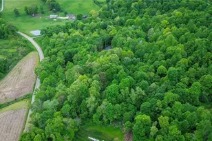 5309 Cherry Run Rd Rd, Strasburg, OH 44680 - Photo 40