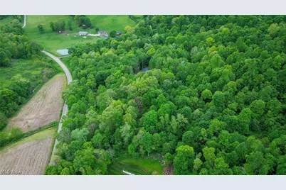 5309 Cherry Run Rd Road, Strasburg, OH 44680 - Photo 40