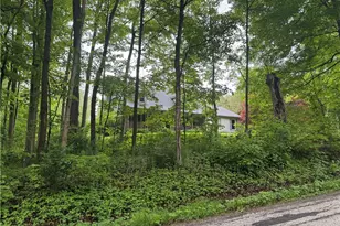 11165 Peck Rd, Mantua, OH 44255 - Photo 10