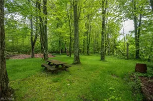 6665 Clingan Rd, Poland, OH 44514 - Photo 10
