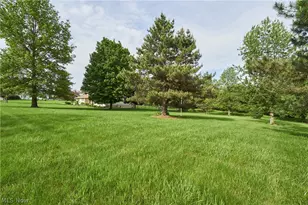 7191 Ryan Rd, Medina, OH 44256 - Photo 28