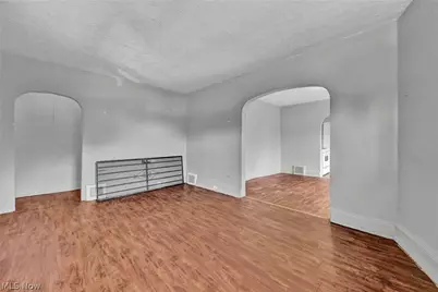 1011 East 140, Loveland, OH 44110 - Photo 8