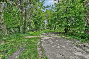 1011 East 140, Loveland, OH 44110 - Photo 36