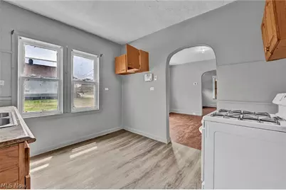 1011 E 140, Loveland, OH 44110 - Photo 12