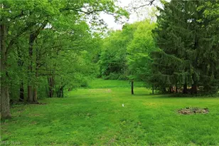 183 Meadow Rd, Wintersville, OH 43953 - Photo 4