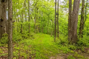 14264 Township Rd 467, Lakeville, OH 44638 - Photo 46