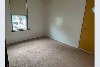 1010 Big Falls Avenue, Akron, OH 44310 - Photo 12