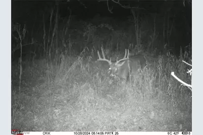 Tr 88, Coshocton, OH 43824 - Photo 44