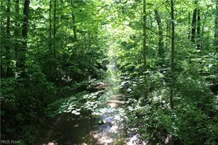 7560 Township Road 76, Green Springs, OH 44836 - Photo 24