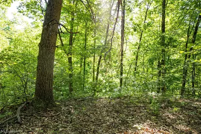 4185 Baughman Run Road, Roseville, OH 43777 - Photo 20