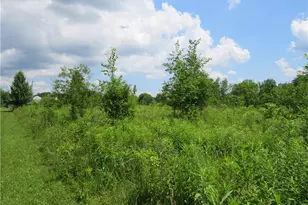 8667 State Route 43, Streetsboro, OH 44241 - Photo 8