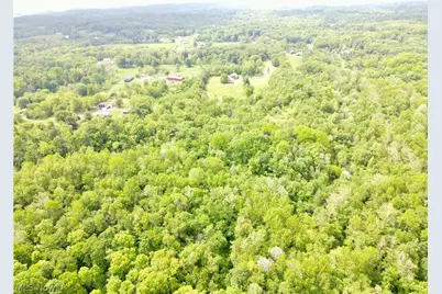 49222 Taylor Road, Negley, OH 44441 - Photo 14
